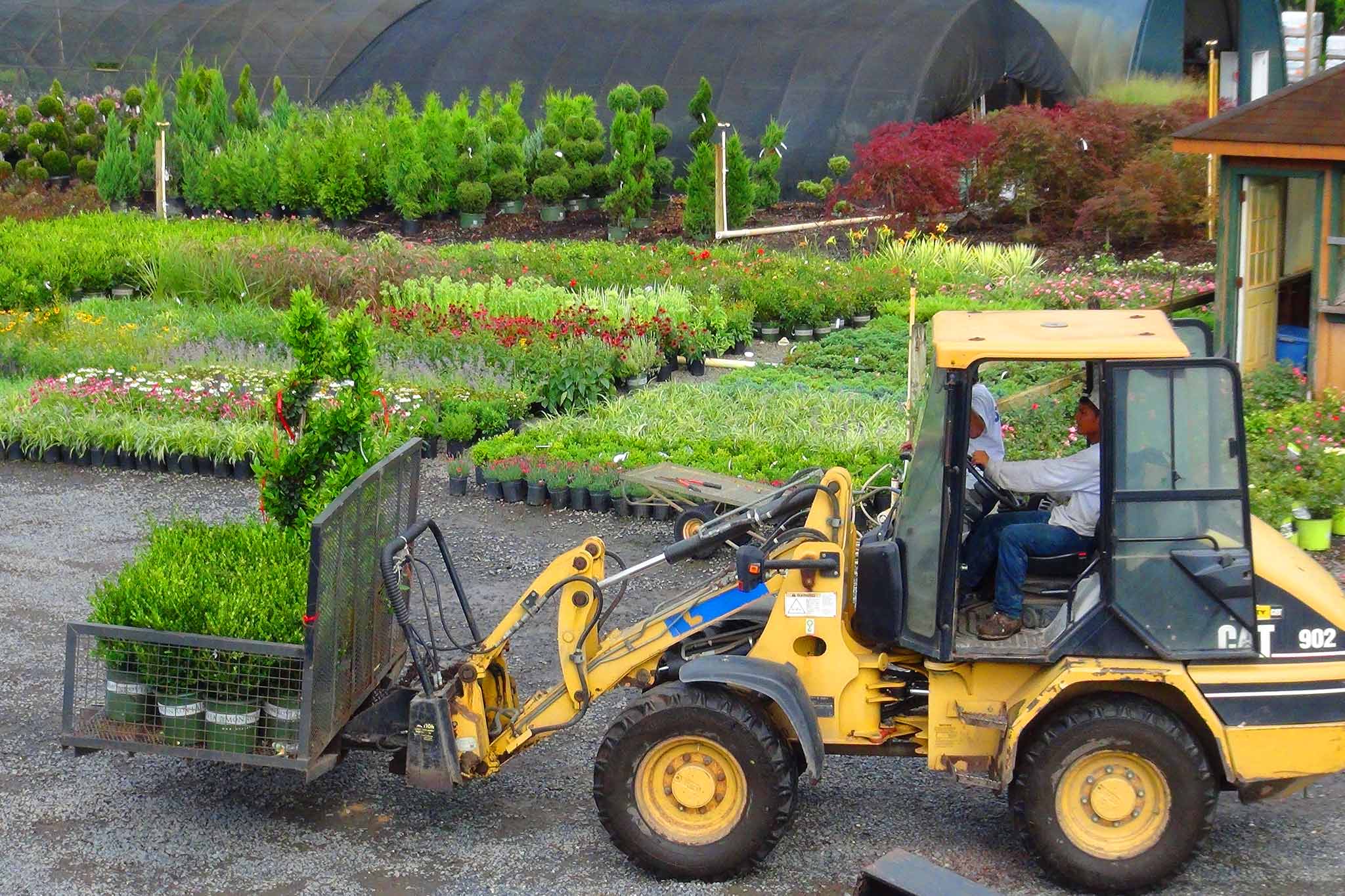 Wholesale Nursery Pantano Outdoor Supply