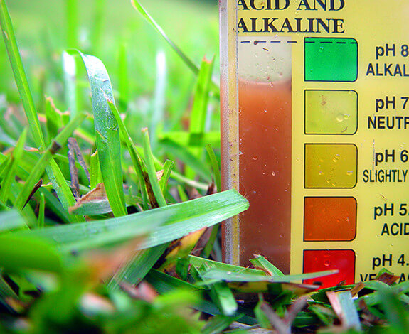 pH-grass