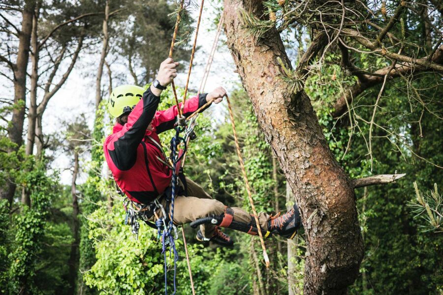 Arborist Climbing Gear - Pantano Outdoor Supply