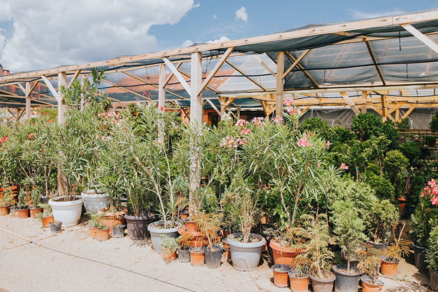 Nursery in Central NJ Pantano Outdoor Supply
