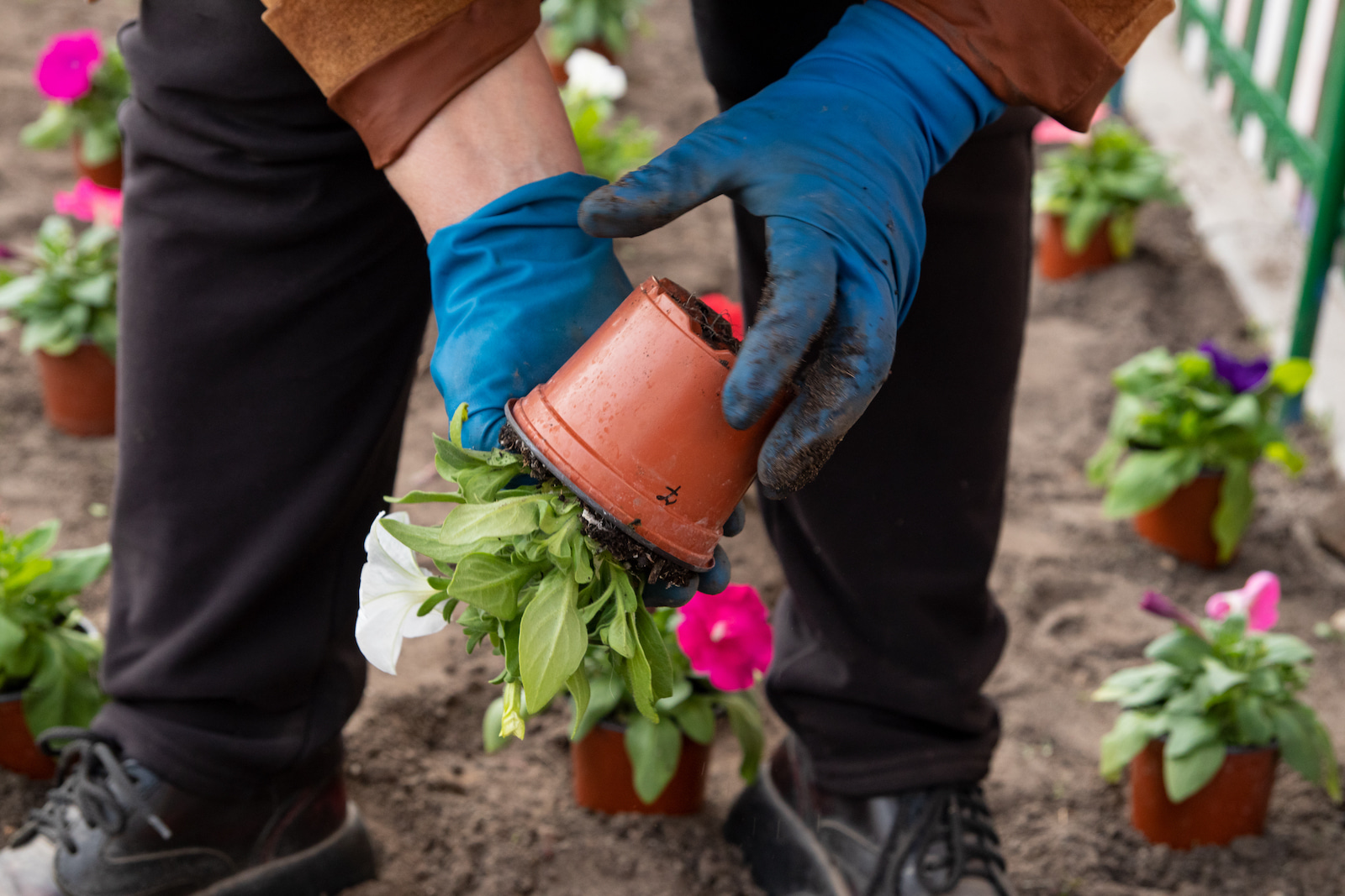 Custom Planting Services in NJ and DE