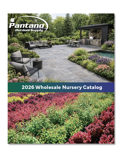 Link to Pantano Nurseries 2026 wholesale nursery catalog