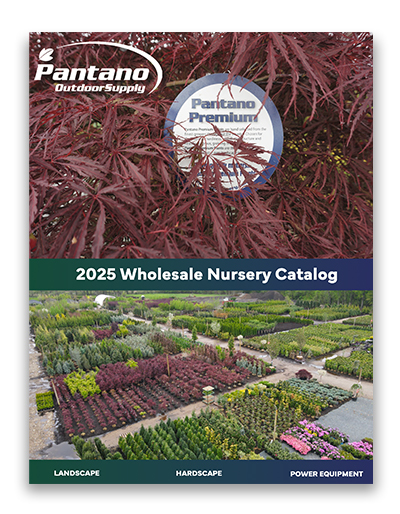 Pantano 2025 Wholesale Catalog