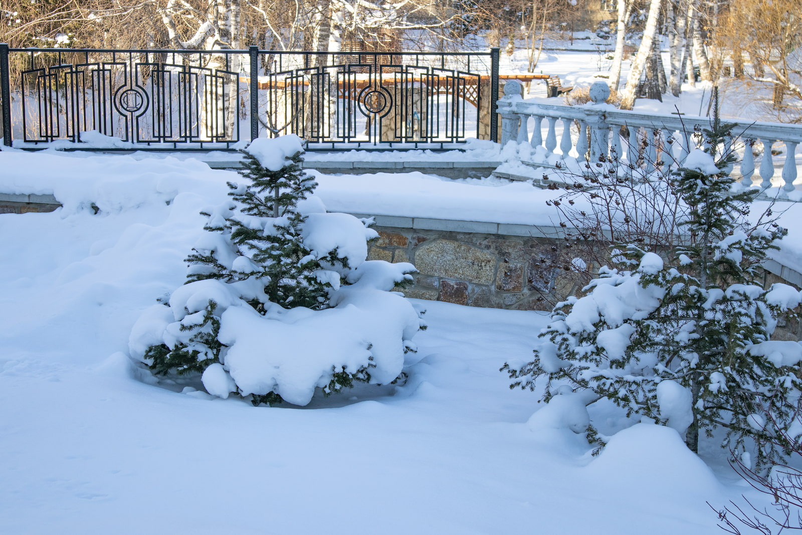 Snow & Ice Removal Products