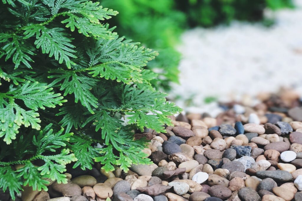 Decorative Stones