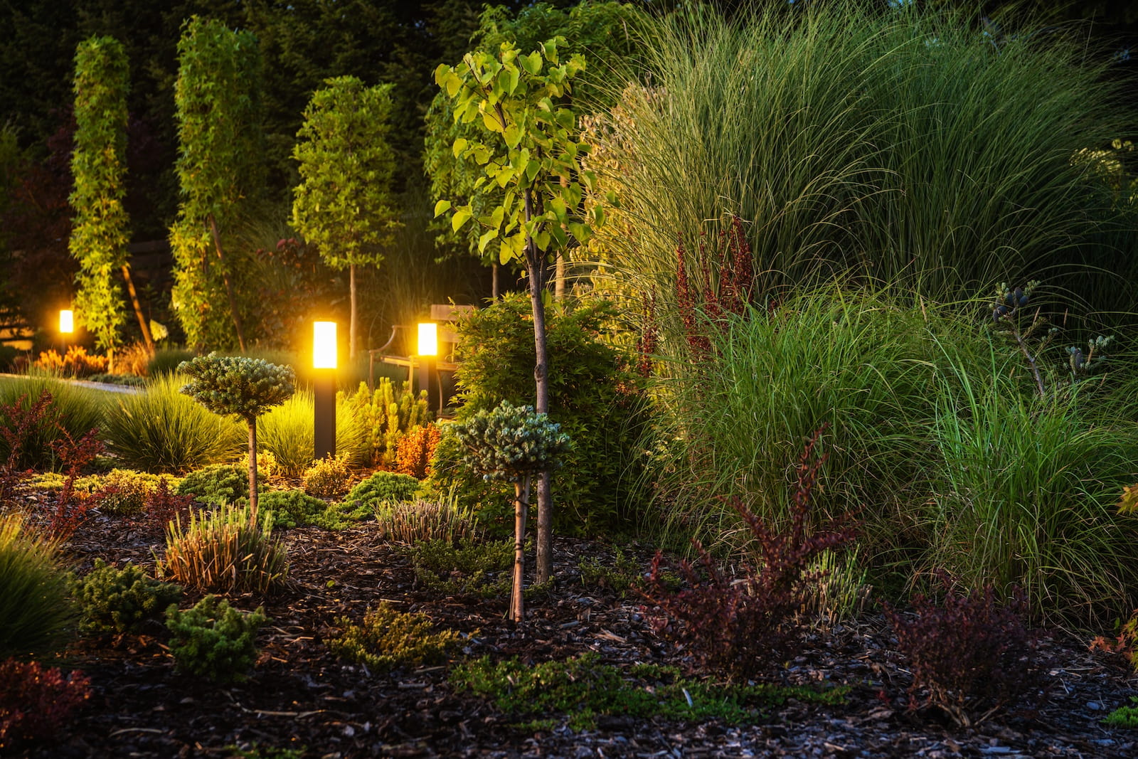 Professional-Grade Landscape Lighting