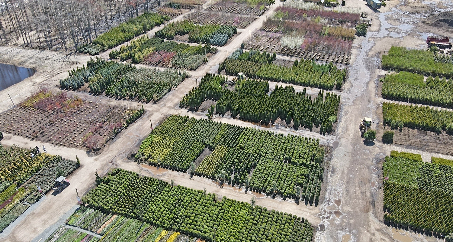 Spring time and our wholesale nursery is stocking up