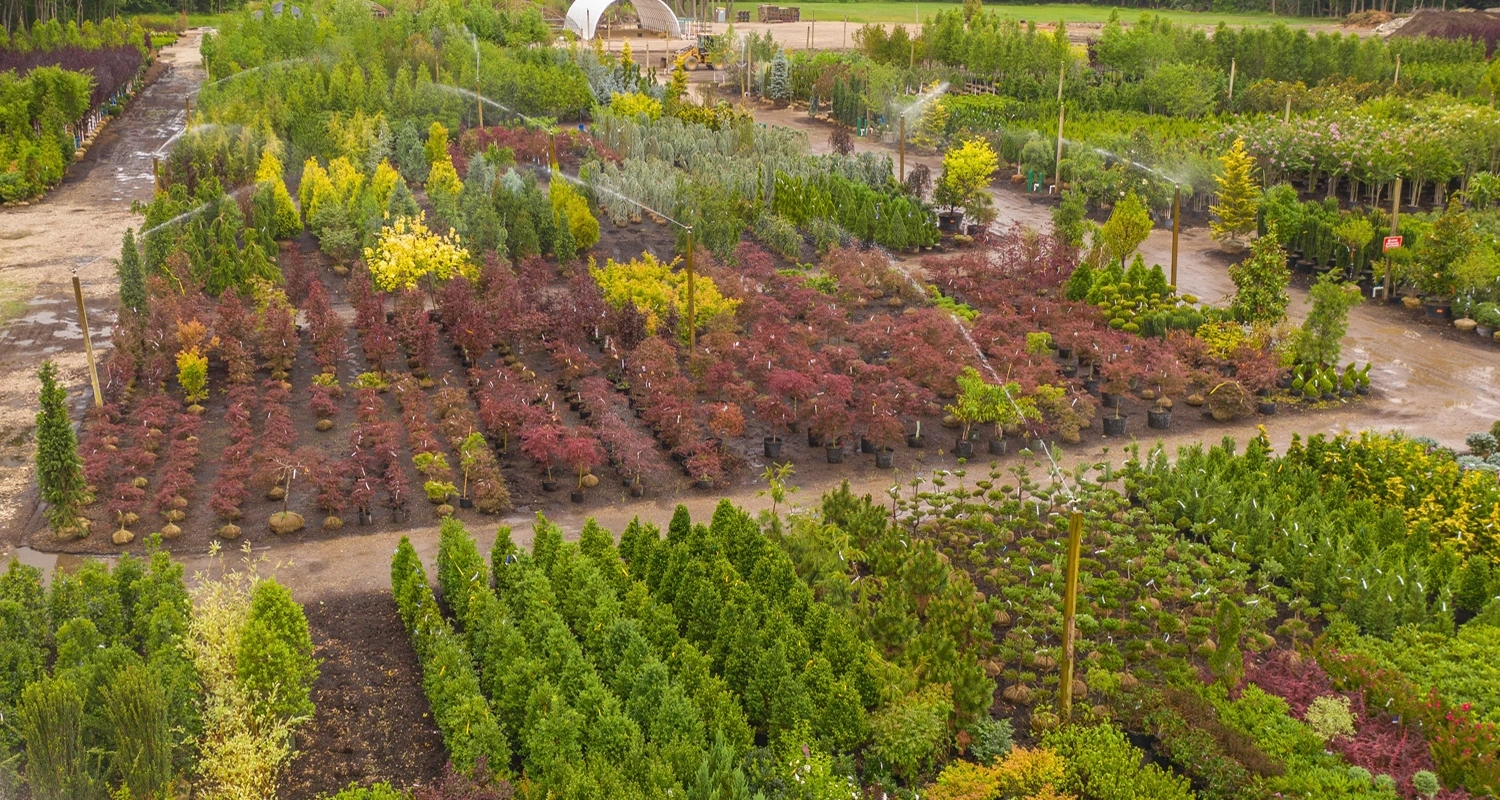 Wholesale Nursery in Monmouth county nj