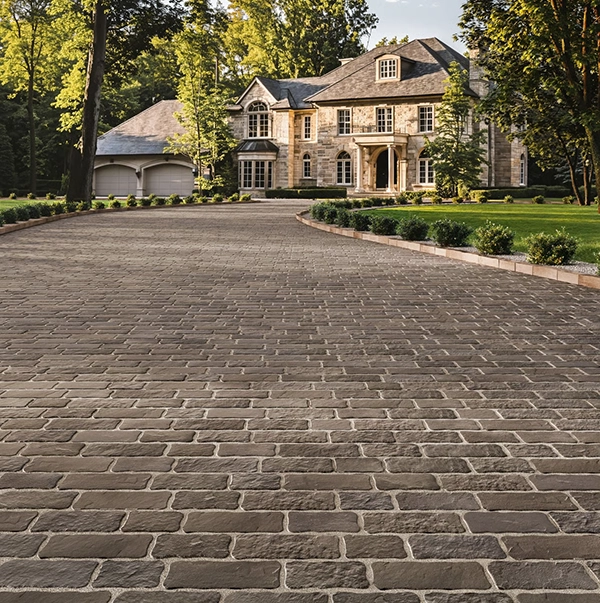 A picture of Techo-Blloc pavers on a driveway
