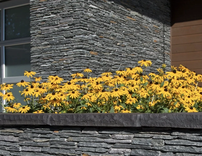 A picture of Pangaea Natural Veneer Stone in the field